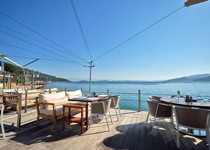 Voyage Torba *